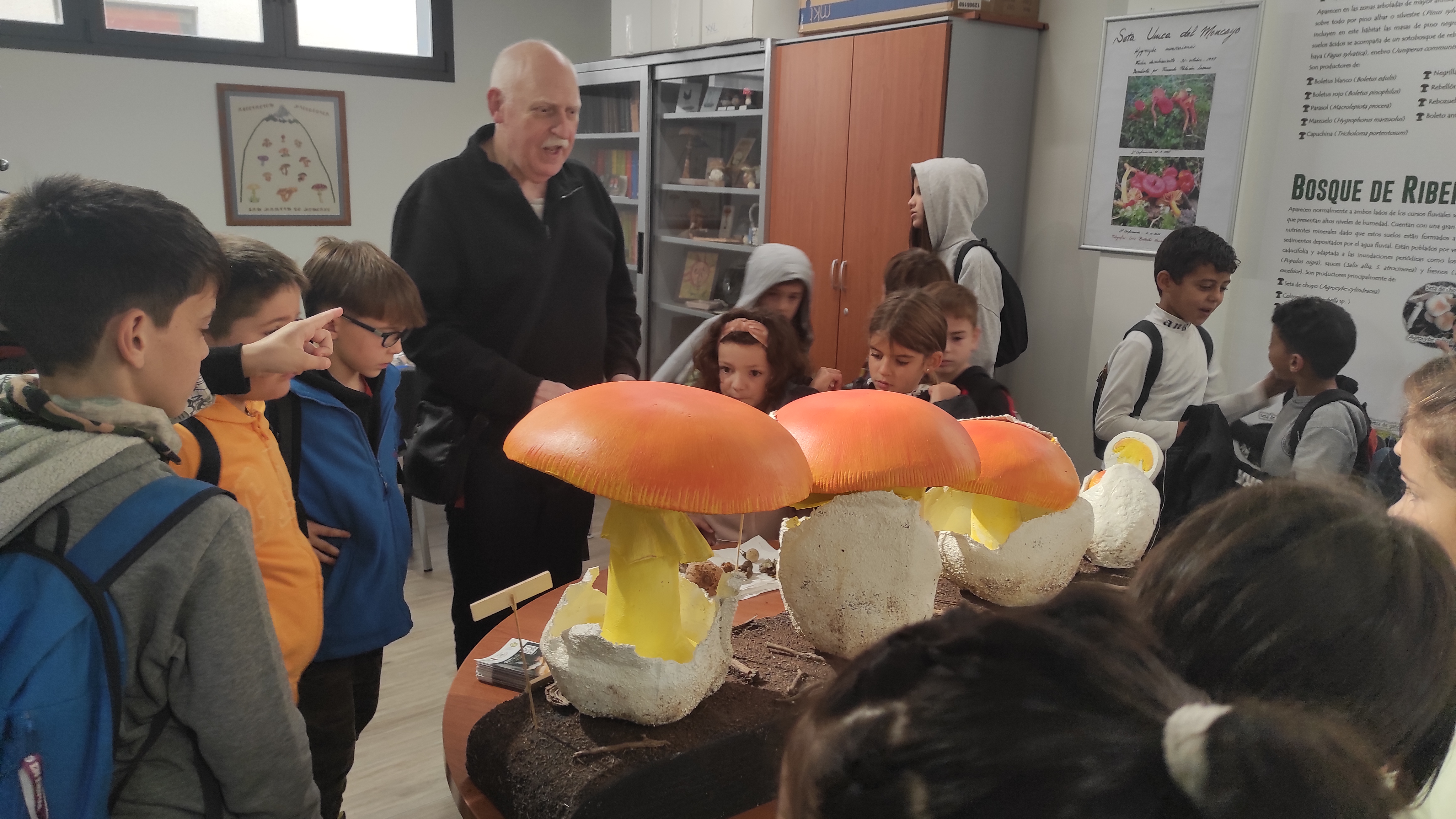 Copia de IMG_20251030_102913.jpg